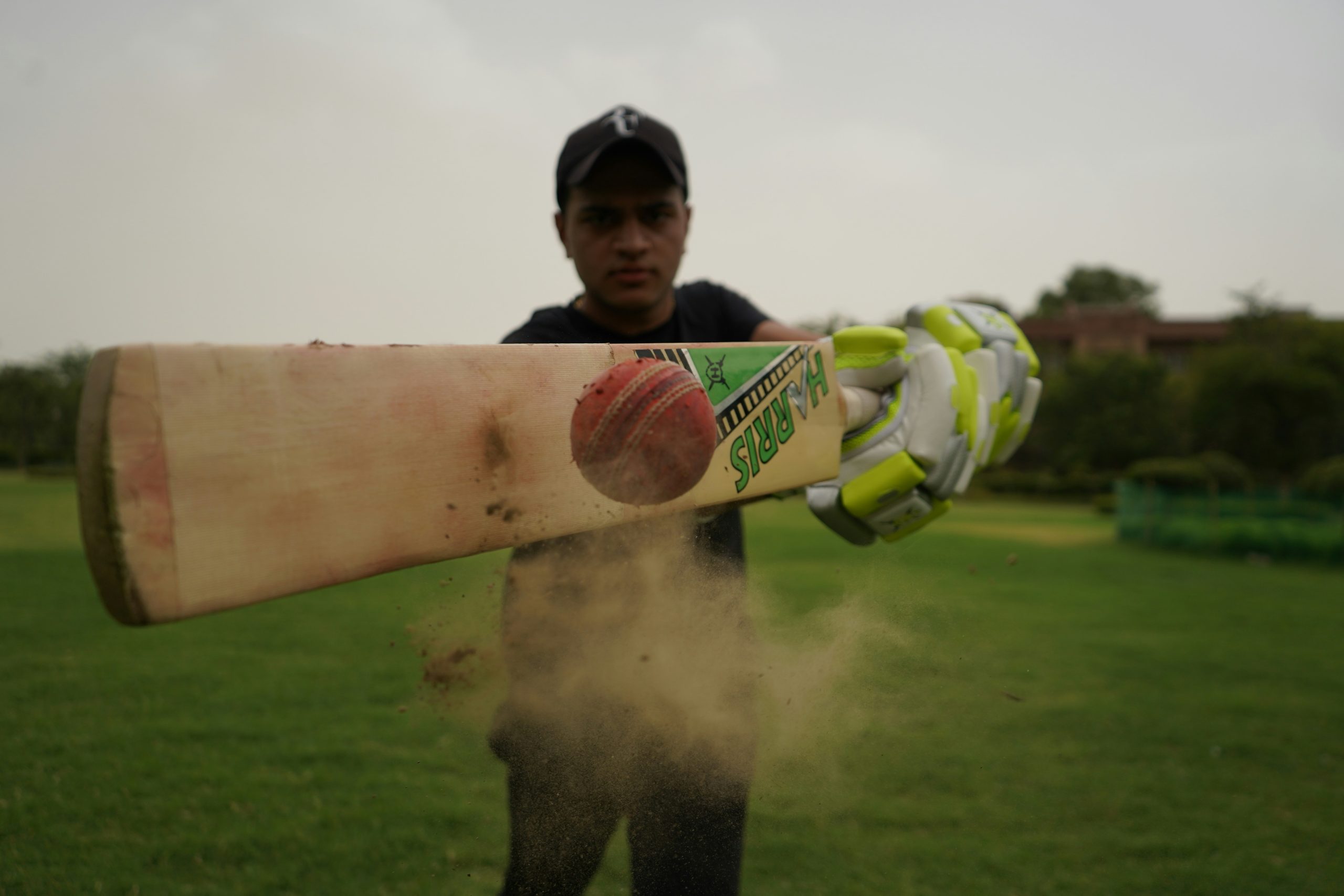 cricket closeup