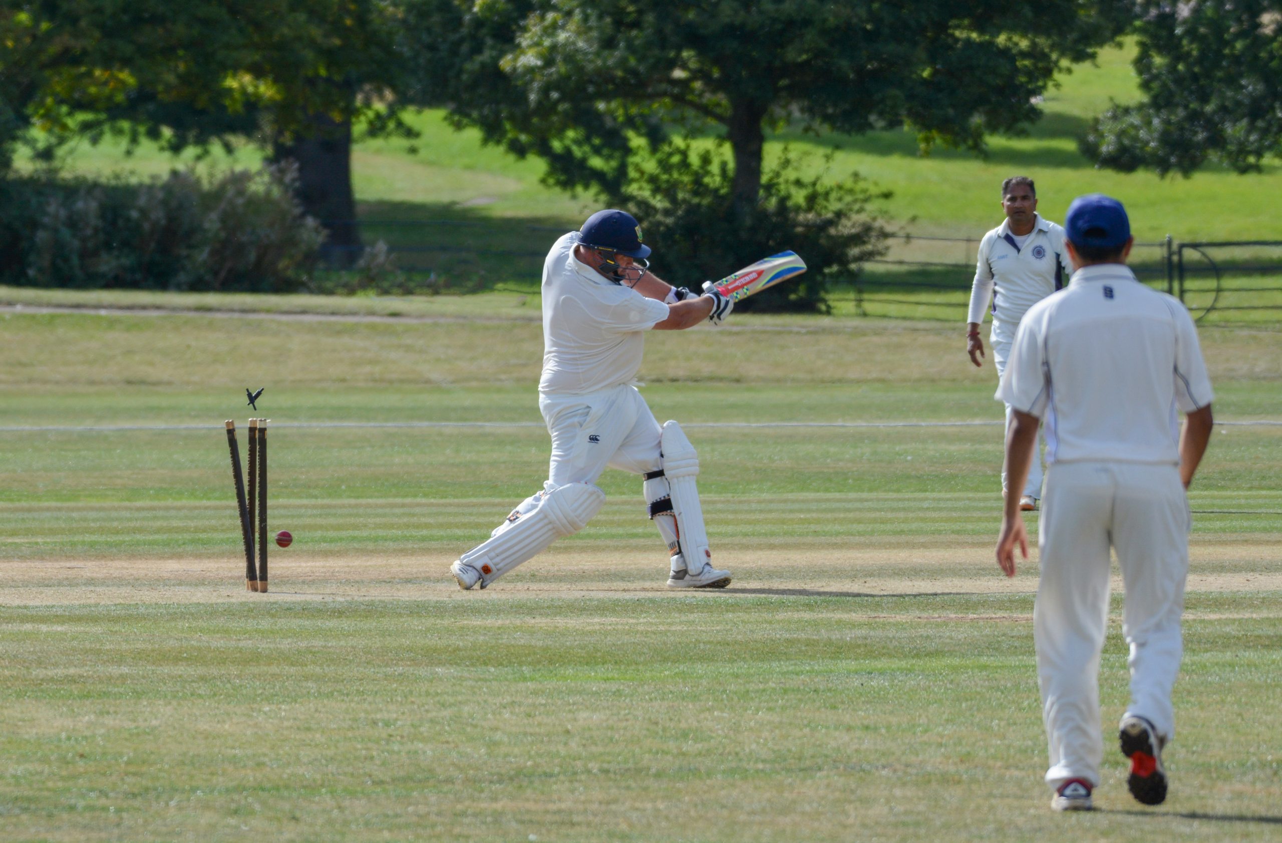 cricket game